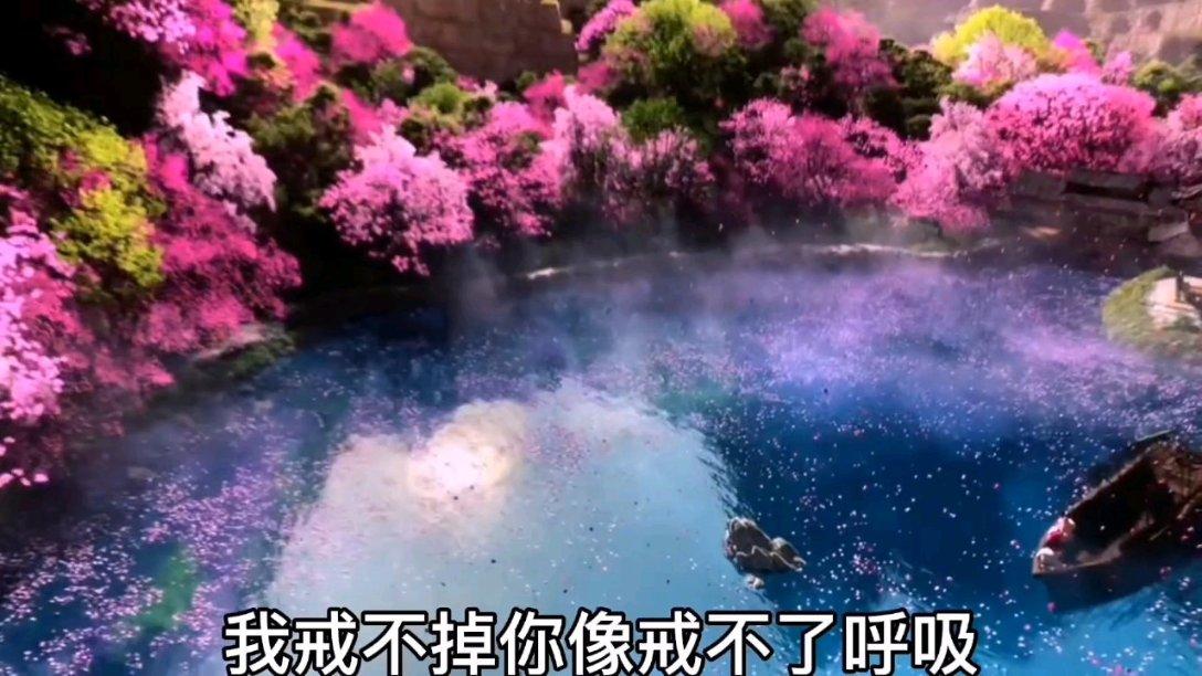 炸弹专家