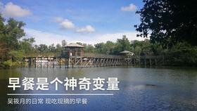彼得比尔特379拼图