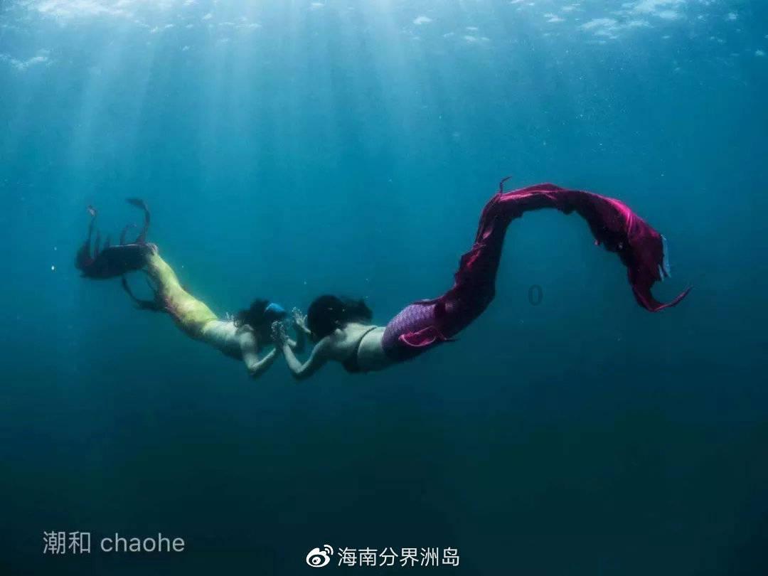 《澳网八强：卫冕冠军3-0大获全胜，中国名将晋级》