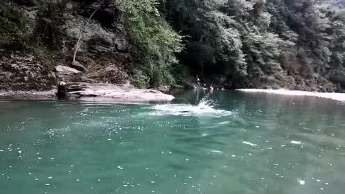 拯救小萌虎